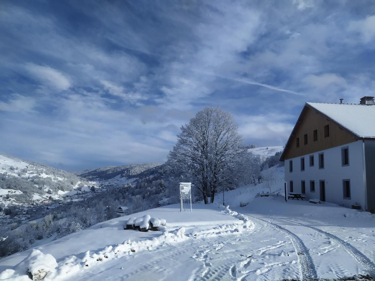 Gites De Moyenmont La Bresse Dış mekan fotoğraf