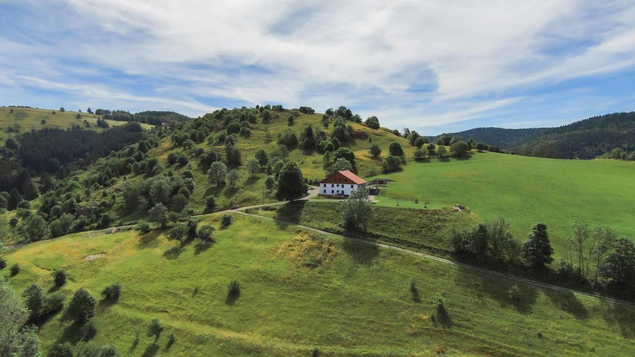 Gites De Moyenmont La Bresse Dış mekan fotoğraf