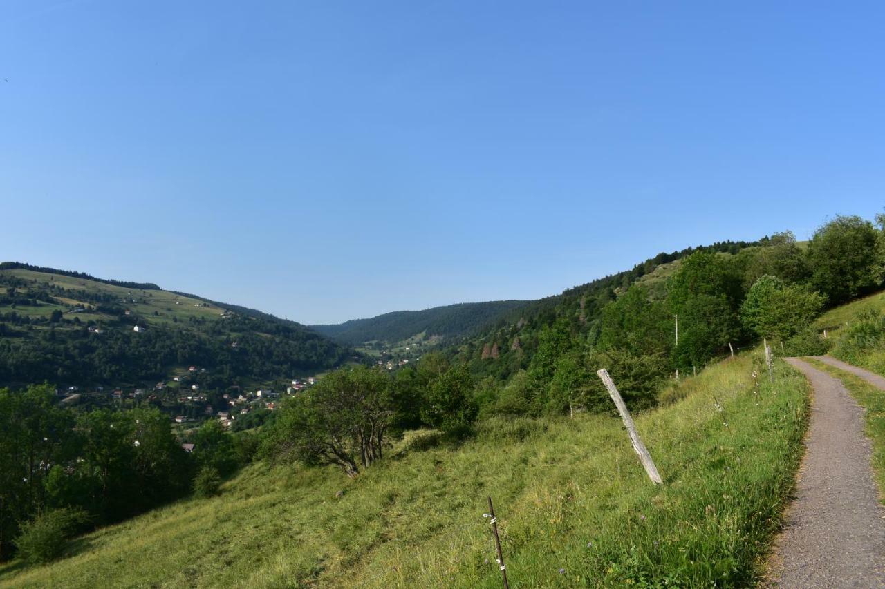 Gites De Moyenmont La Bresse Dış mekan fotoğraf